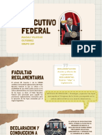 Ejecutivo Federal Magali Villegas PDF