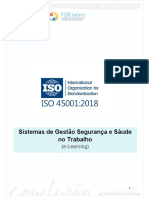 Manual ISO45001 PDF