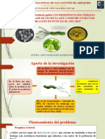 H. Pylori en Lechuga