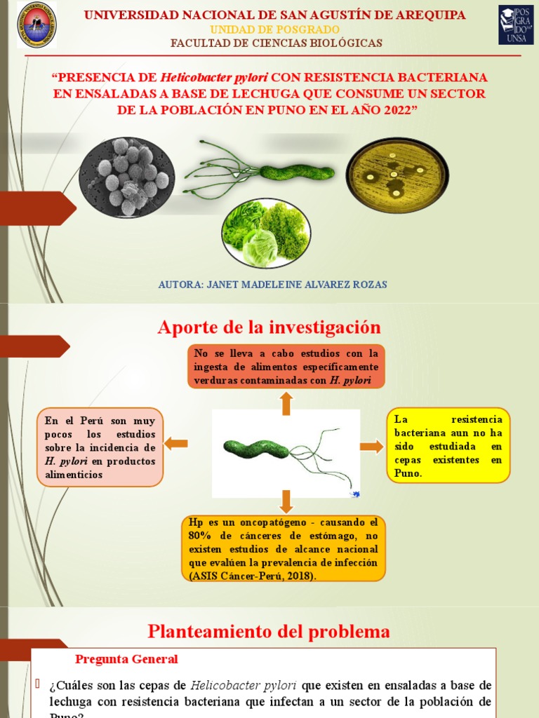 H. pylori en ensaladas de lechuga en Puno | PDF | Especialidades ...