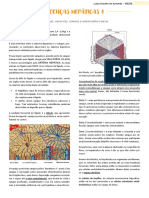 Doenças Hepáticas: Esteatose, Hepatites, Cirrose e Hipertensão Portal