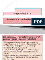 Gimnosperm Și Angiosperm 5