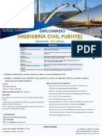 AficheDipIngCivilPuentes 2v PDF