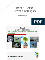 Cópia de UNIDADE 1 - MEIO AMBIENTE E POLUIÇÃO - Aula 1