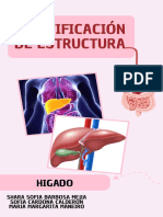 Hepatica Comun PDF