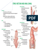 Rectum and Anal Canal