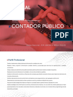 Brochure Contador Publico PDF
