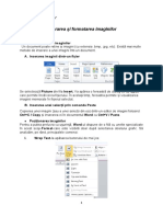 Inserarea Și Formatarea Imaginilor