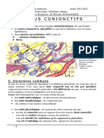 3 - Tissu Conjonctif PDF