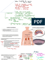 SUPRARENALELE