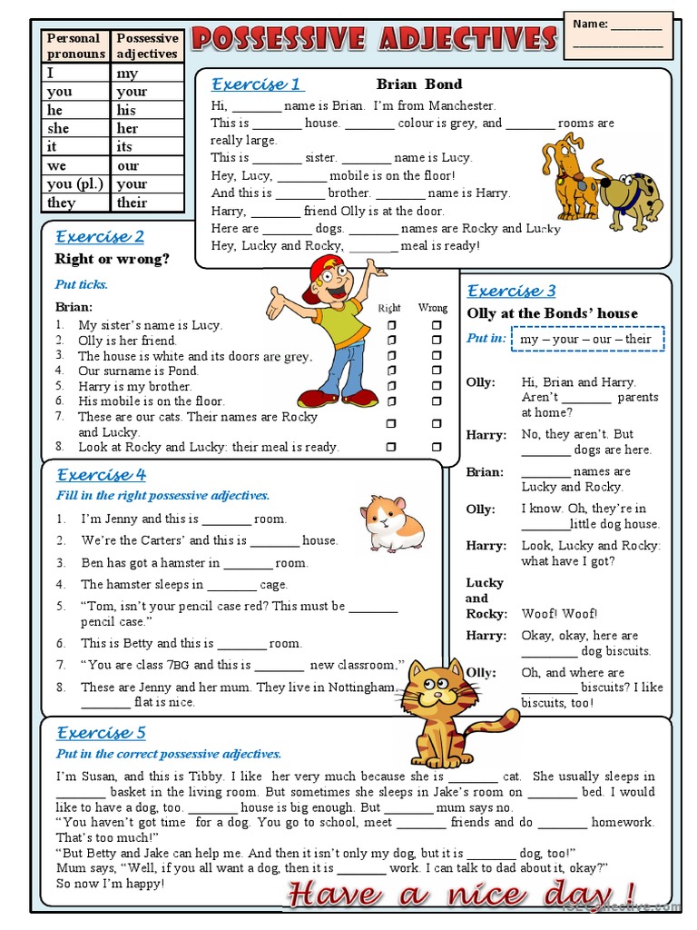 Possessive Adjectives PDF Linguistics Linguistic Typology