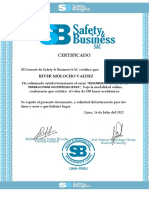 Certificado Salud y Seguridad en El Trabajo - Safety