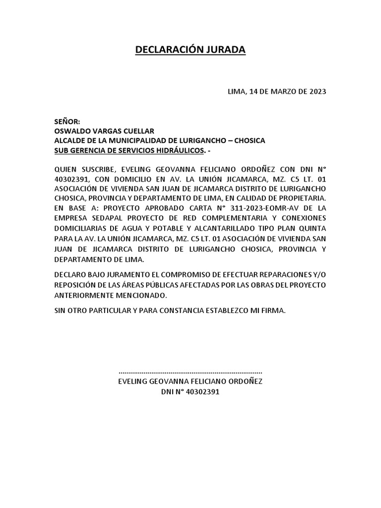Ejemplo De Declaracion Jurada Personal