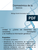 Teoría Cromosómica de La Herencia