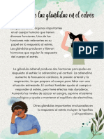 Open Class 2 PDF