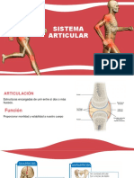 Sistema Muscular Tema Iii PDF