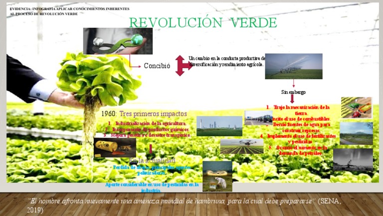 Impactos de la Revolución Verde en Agricultura | PDF