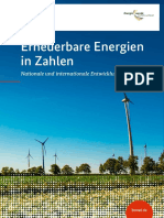EuU_9_Erneuerbare_Energien_in_Zahlen_2020_(BMWi).pdf