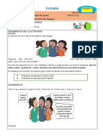 Tutorìa Presion de Grupo