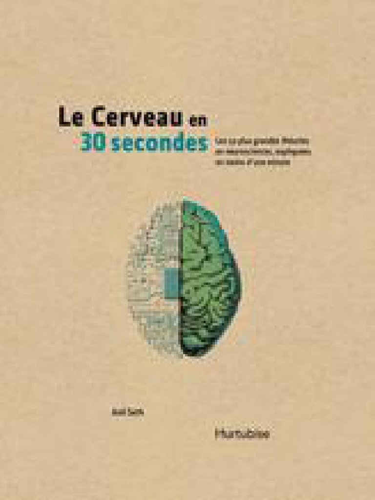 Les Théories Clés en Neurosciences | PDF | Cerveau | Neurone