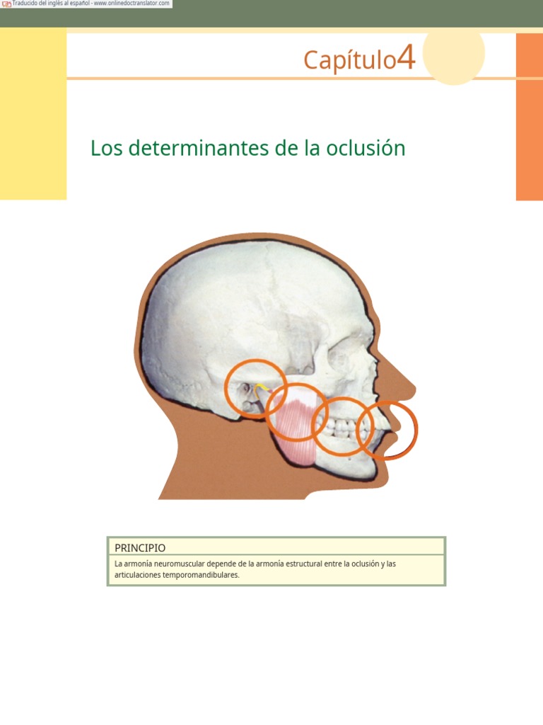 Dawson P Functional occlusion from TMJ to smile design3540.en.es