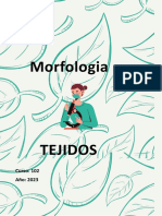Morfologia de los tejidos