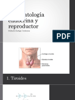 Fisiopatologia Del Sistema Endocrino y Reproductor PDF