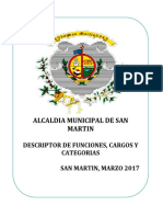 Manual Generico Descriptor de Cargos y Categorias PDF