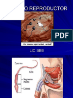 Aparato Reproductor Biomedicas