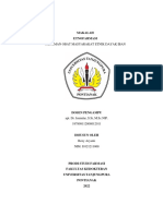 Reny Aryanti - I1021211068 - Dayak Iban PDF