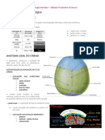 Imaginologia Internato I PDF