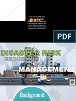 DISASTER RISK Presentation