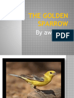 The Golden Sparrow