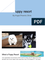 Puppy Resort