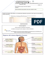 2° P - 5 Naturales - Artistica - Educación Física PDF