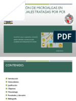 Identificación de Microalgas PCR