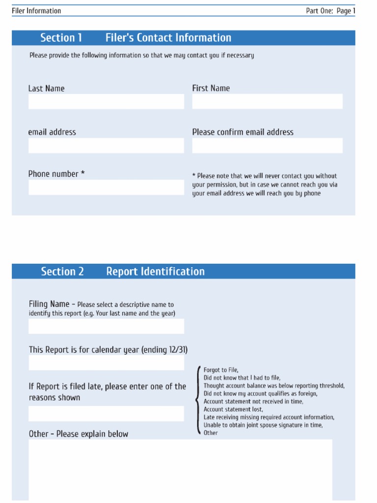 Fbar Filing Form PDF