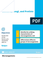 Microorganism Groups: Bacteria, Fungi and Protists