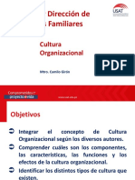 Tema 3. Cultura Organizacional