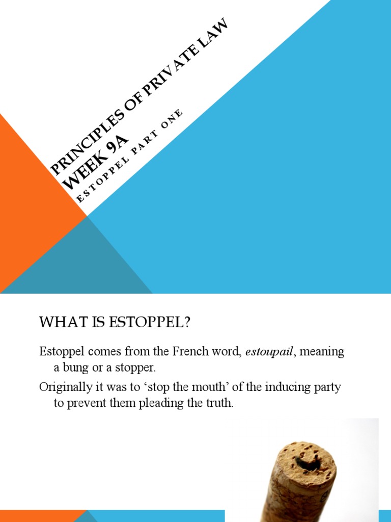 9A Introduction To Estoppel PDF Estoppel Contract Law