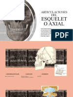 Articulaciones Del Esqueleto Axial