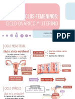 Ciclos Femeninos PDF