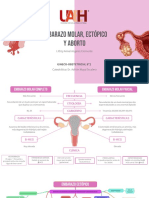 MAPA MENTAL ABORTO, EMBARAZO ECTÓPICO Y MOLAR.pdf