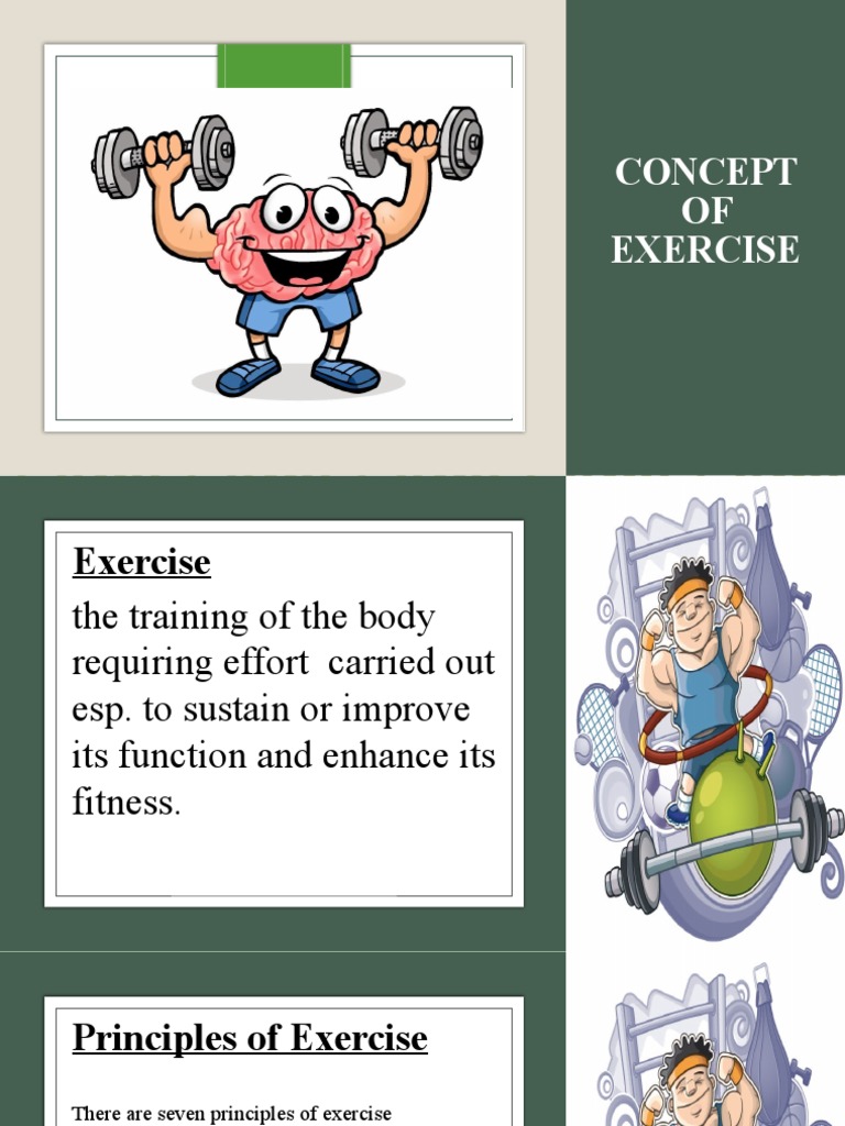 Principles and Components of Exercise | PDF | Physical Fitness ...