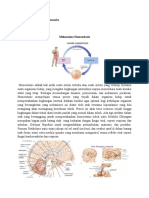 Homeostasis Gy