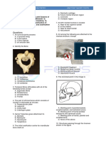 Anatomy Short Tests - NEET MDS