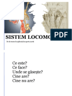 Sistem Locomotor Introducere Și Detaliere Oase