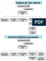 Organigrama Actual ESQUADRA