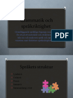 Grammatik Och Språkriktighet