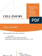 Cell Injury GD